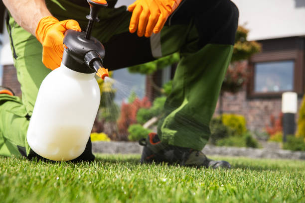 Best Termite Control Services  in Daniel, UT