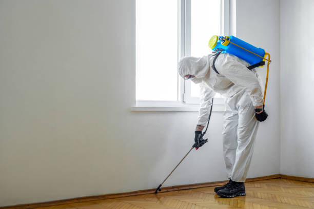 Best Pest Control Near Me  in Daniel, UT
