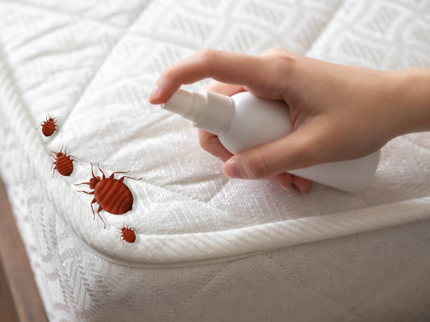 Best Pest Prevention Services  in Daniel, UT